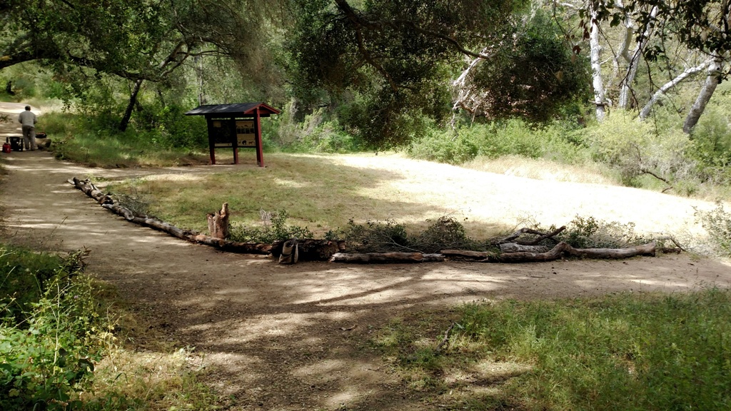 The new log barriers along the Meadow trail, Joe in the background!